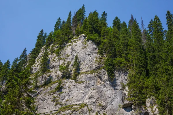 Landschaft mit Berggipfel — Stockfoto