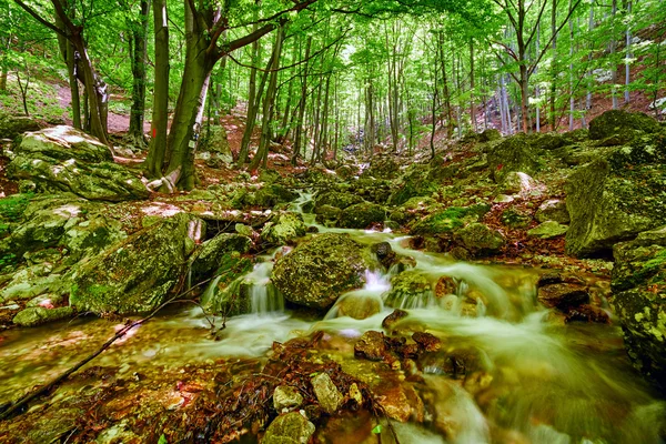 Річка протікає через ліс на горах — стокове фото