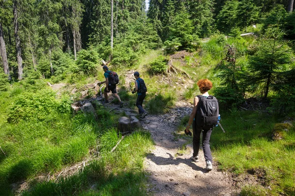 徒步旅行者在一条山路上行走 — 图库照片