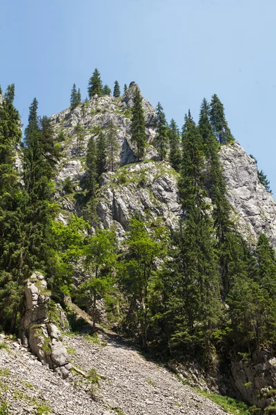 Bergtop in een zonnige dag — Stockfoto