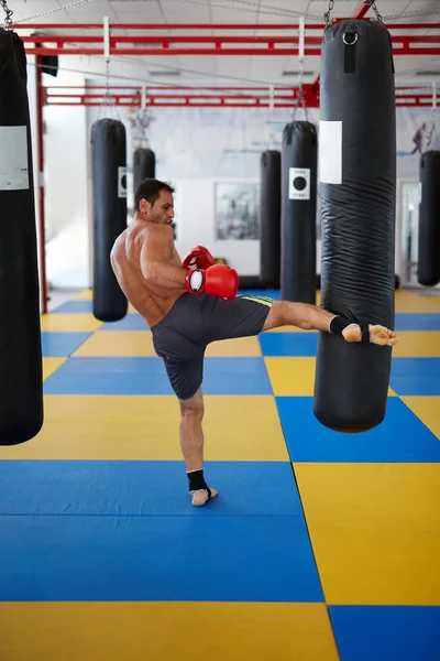 Entrenamiento de combate Kickbox — Foto de Stock