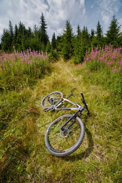 Mountainbike auf einer Wiese — Stockfoto