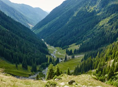 Bir yaz günü vadide dağ