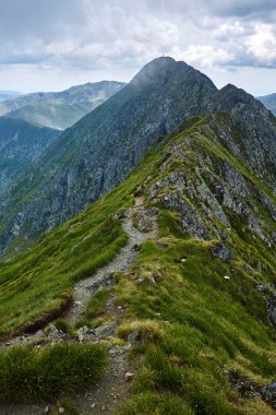 ocky dağlar ve hiking trai