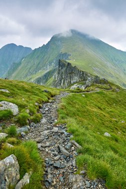 Rocky Dağları ve hiking trail
