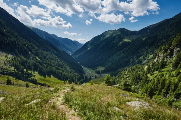 Bir yaz günü vadide dağ — Stok fotoğraf