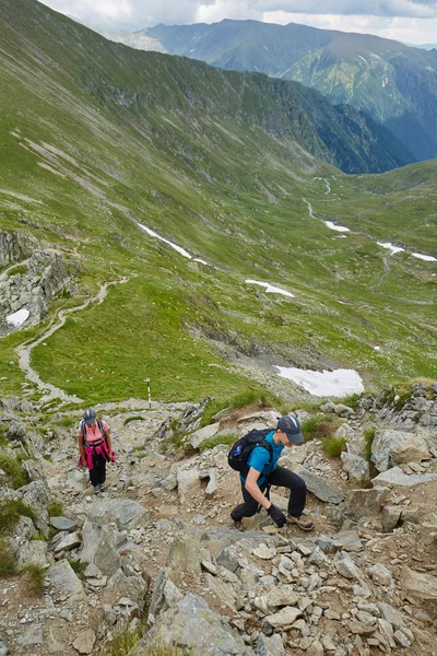 Vandrare på en skogsstig — Stockfoto