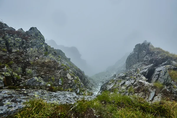 Montañas rocosas en la niebla — Foto de Stock