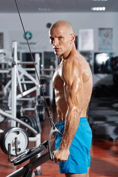 Bodybuilder doing a triceps workout — Stock Photo, Image