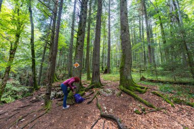 Apuseni Dağları 'nın yosunlu ormanında sırt çantasını işaret okunun yanına koyan kadın.