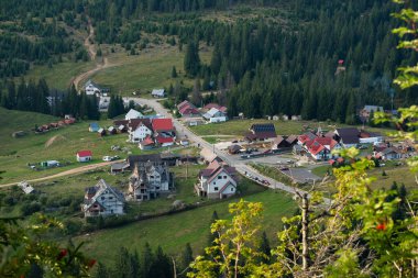Apuseni dağlarındaki Padi dağ köyünde orman ve çayırlarla çevrili evler, pansiyonlar ve yollar gösteriliyor. 