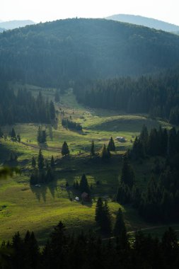 Apuseni dağlarının Padi bölgesindeki çayır ve çam ormanlarının gündüz görüşü, huzurlu bir dağ vadisinde dağınık kır evleri ve otlakları gösteriyor.