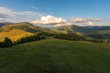 Apuseni dağlarının Padi bölgesinde güneşli çayırlar ve çam ormanları, huzurlu bir Alp Vadisi 'ndeki dağınık kır evleri ve otlakları gösteriyor. 