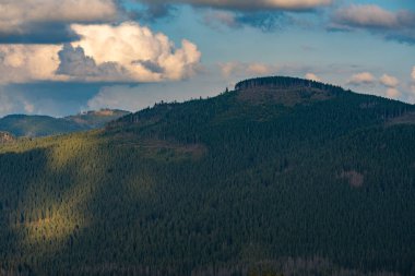 Apuseni dağlarının Padi bölgesindeki güneşli çayırların ve çam ormanlarının havadan görünüşü huzurlu bir dağ vadisinde dağınık kır evleri ve otlakları gösteriyor.