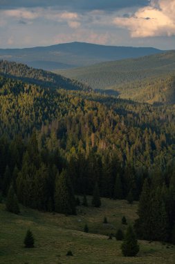 Apuseni dağlarının Padi bölgesindeki güneşli çayırların ve çam ormanlarının havadan görünüşü huzurlu bir dağ vadisinde dağınık kır evleri ve otlakları gösteriyor.