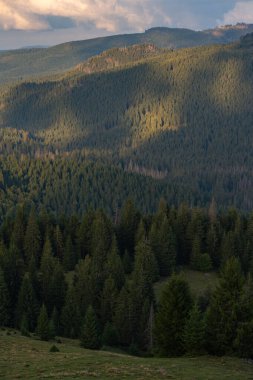 Apuseni dağlarının Padi bölgesindeki çayır ve çam ormanlarının gündüz görüşü, huzurlu bir dağ vadisinde dağınık kır evleri ve otlakları gösteriyor.