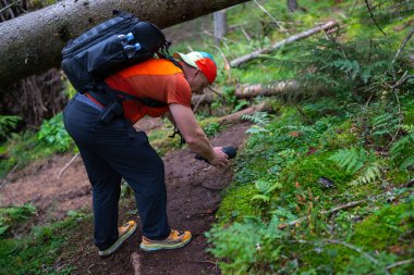 Apuseni Dağları 'ndaki yosunlu patika boyunca orman bitkilerinin detaylarını fotoğraflayan bir adam.