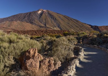 Tenerife 'deki Teide Ulusal Parkı' nda açık mavi gökyüzünün altında Teide Dağı 'na uzanan kuru volkanik çalılarla çevrili kavisli yürüyüş yolu.