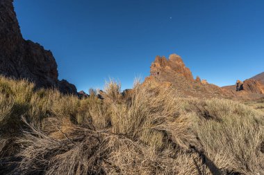 Roques de Garcia 'nın volkanik kaya oluşumları berrak bir gökyüzünün altında kuru ve endemik çalılarla çevrili ve Tenerife' deki Teide Ulusal Parkı 'nda ay belli belirsiz görünüyor.