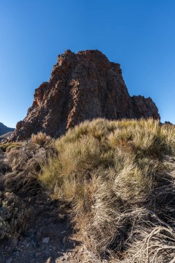 Tenerife 'deki Teide Ulusal Parkı' ndaki Roques de Garcia 'da açık mavi gökyüzü altında seyrek bitki örtüsüyle çevrili volkanik kaya oluşumu