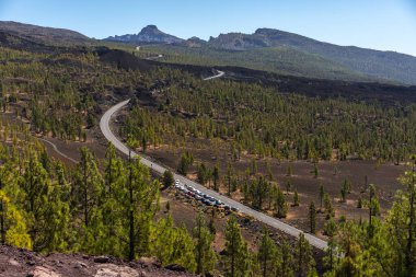 TF-38 karayolu volkanik arazide ve Mirador de Samara yakınlarındaki çam ormanında yol kenarına park etmiş arabalar gün ışığında görülebiliyor.