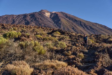 Teide Dağı 'nın yakınlarındaki volkanik kayaların arasında duran erkek yürüyüşçü engebeli arazide bir an için patikadan çıktı.