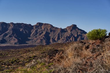 Llano de Ucanca ovasına bakın. Dağınık çalılar ve lav tarlaları sabah güneşinde Las Canadas Caldera 'nın yüksek kenarına çıkıyor.