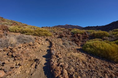 Pico del Teide volkanının manzarası Tenerife 'deki Los Regatones zencileri, İspanya' daki Kanarya Adaları 'ndan görüldü.