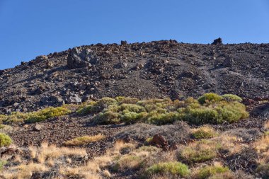 Teide Ulusal Parkı, Tenerife, İspanya 'da Pico Viejo yamacında lav kayaları ve kayalarla kaplı manzara