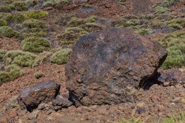 Tenerife, Kanarya Adaları, İspanya 'daki Teide Ulusal Parkı' nın yamaçlarında devasa lav bombaları.