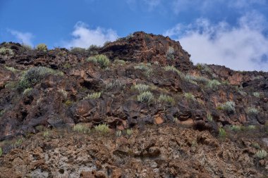 Bazalt ve Tuff 'un pürüzlü oluşumları, etrafındaki kurak büyümeyle çelişen dünyanın ateşli geçmişini ortaya koyuyor..