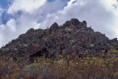 Arid flora, buna dirençli kaktüs de dahil, Barranco del Infierno vadisindeki katmanlı volkanik oluşumları çevrelemektedir..