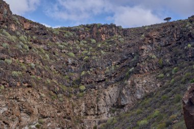 Jeolojik zaman, bu derin barrankodaki dayanıklı kaktüslerle çevrili katmanlı volkanik birikintilerde görülebilir..