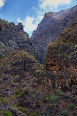 Arid flora, buna dirençli kaktüs de dahil, Barranco del Infierno vadisindeki katmanlı volkanik oluşumları çevrelemektedir..