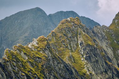 güzel dağ manzarası