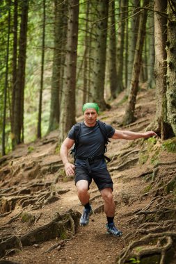 çam ormanı içinde koşan adam