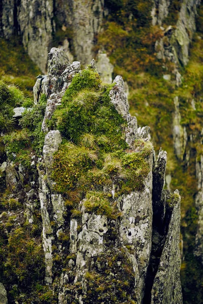 Horská cliff closeup — Stock fotografie