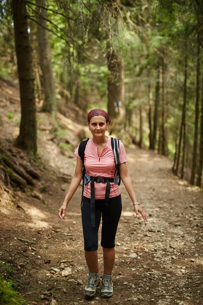 Турист, гуляющий в еловом лесу — стоковое фото