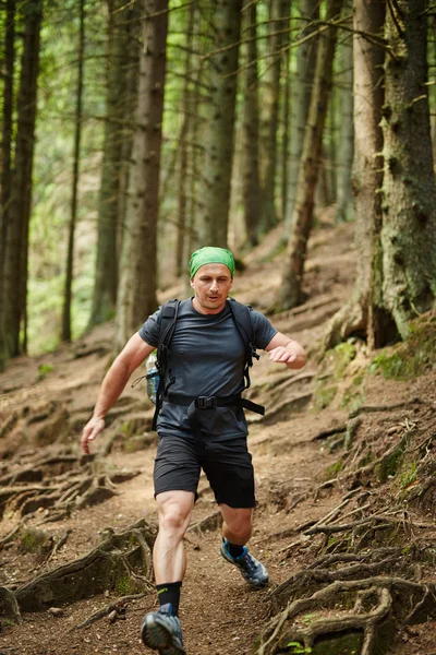 Людина біжить в сосновому лісі — стокове фото