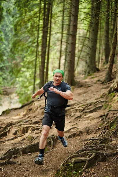Homem correndo na floresta de pinheiros — Fotografia de Stock