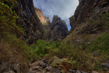 Barranco del Infierno 'da kaktüs ve kuru bitki örtüsüyle çevrili görünen tuff ve bazalt şeritleriyle kaplı katmanlı volkanik kaya oluşumları.