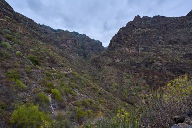 Dik volkanik kayalıklar ve sabah ışığı altında engebeli Barranco del Infino arazisinde dolanan dar bir patika.