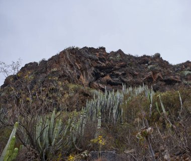 Barranco del Infierno 'nun kuru vadisi volkanik bantları değiştirerek etrafı saran kurak çalılarla güzel bir zıtlık oluşturuyor..