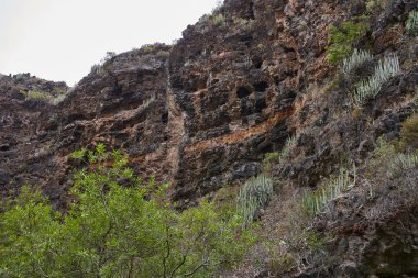 Barranco del Infierno 'nun kuru vadisi volkanik bantları değiştirerek etrafı saran kurak çalılarla güzel bir zıtlık oluşturuyor..