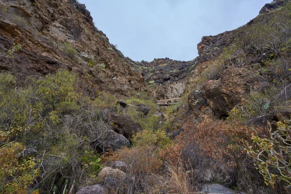 Karanlık, engebeli kaya rafları vadiyi tanımlar, sulu kaktüslerin varlığı ile noktalanır ve ovalanır..