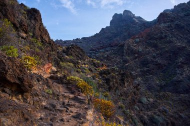 Anaga 'nın astropikal ortamı engebeli arazi ve Taganana' ya giden uzun yol boyunca görünen kurak bitkilerle tanımlanır..