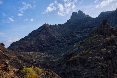 Afur ve Taganana arasındaki zorlu yol kayalık, subtropikal bir yamaçtan geçiyor..