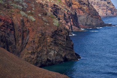 Tenerife 'deki Playa Tamadiste yakınlarındaki Anaga kıyısı boyunca Atlantik Okyanusu' na inen sulu bitkilerle dramatik volkanik kayalıklar.