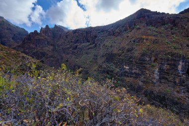Renkli mineral yataklarıyla kaplı katmanlı volkanik kaya duvarları ve seyrek bitki örtüsü Barranco del Infierno 'nun derin kanyonu.
