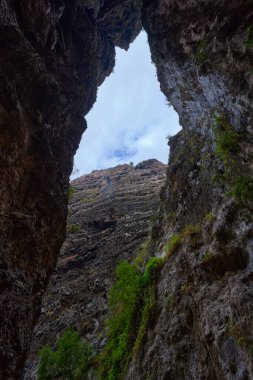 Barranco del Infierno 'daki yosun kaplı kaya duvarlarının çerçevelediği dar volkanik geçitten yukarıya doğru dramatik bir manzara.